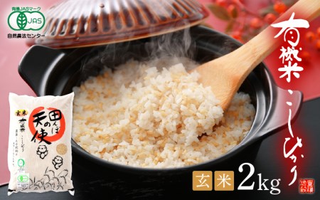 有機JAS 米 越前コシヒカリ 2kg 令和5年産 福井県産【玄米】【有機栽培 JAS認証 人気品種 こしひかり 2キロ】 [e10-a005]