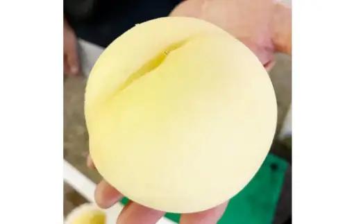 訳あり 白皇 5～8玉 （約2kg） 【2026年8月下旬～9月下旬発送予定】 家庭用 糖度 香り 果実 くだもの 果物 フルーツ もも 桃 モモ ピーチ 国産 岡山県産 ブランド 甘み 肉質 新品種