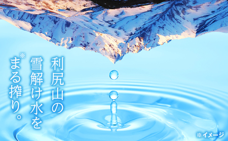 【定期便】天然ケイ素水リシリア(500ml×24本入)×6ヶ月