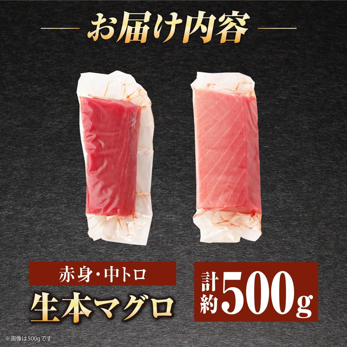 【冷蔵だから人気！】生本マグロ 赤身 中トロ 計約500g [RBP003] 