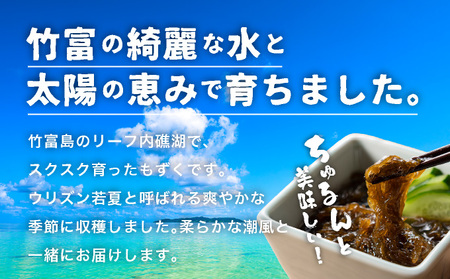 竹富島産　塩もずく