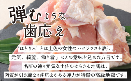 【 鶏肉 】 もも肉 はちきん地鶏 0.5kg [ag020]  鶏肉