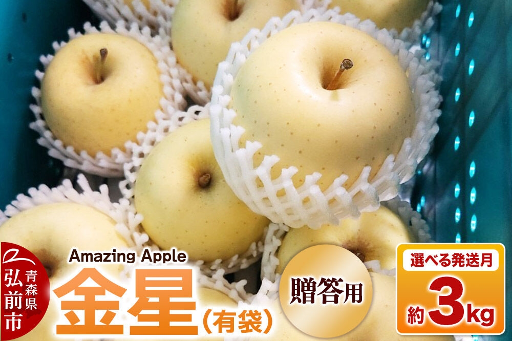 
                  【寄附金額見直しました】りんご 金星（有袋）【贈答用】約3kg【選べる発送月】 [りんご 金星 有袋 選べる 3kg お歳暮 お中元 ギフト 贈り物 贈答用 アップル おいしい 果実 果物 黄色 美味 林檎 青森県 弘前市]
                