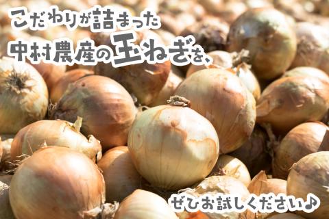 【予約：2024年9月下旬から順次発送】北海道北見産 玉ねぎ 5kg ( 玉ねぎ 野菜 たまねぎ タマネギ 玉葱 甘い ハンバーグ 肉じゃが ふるさと納税 玉ねぎ )【002-0008-2024】