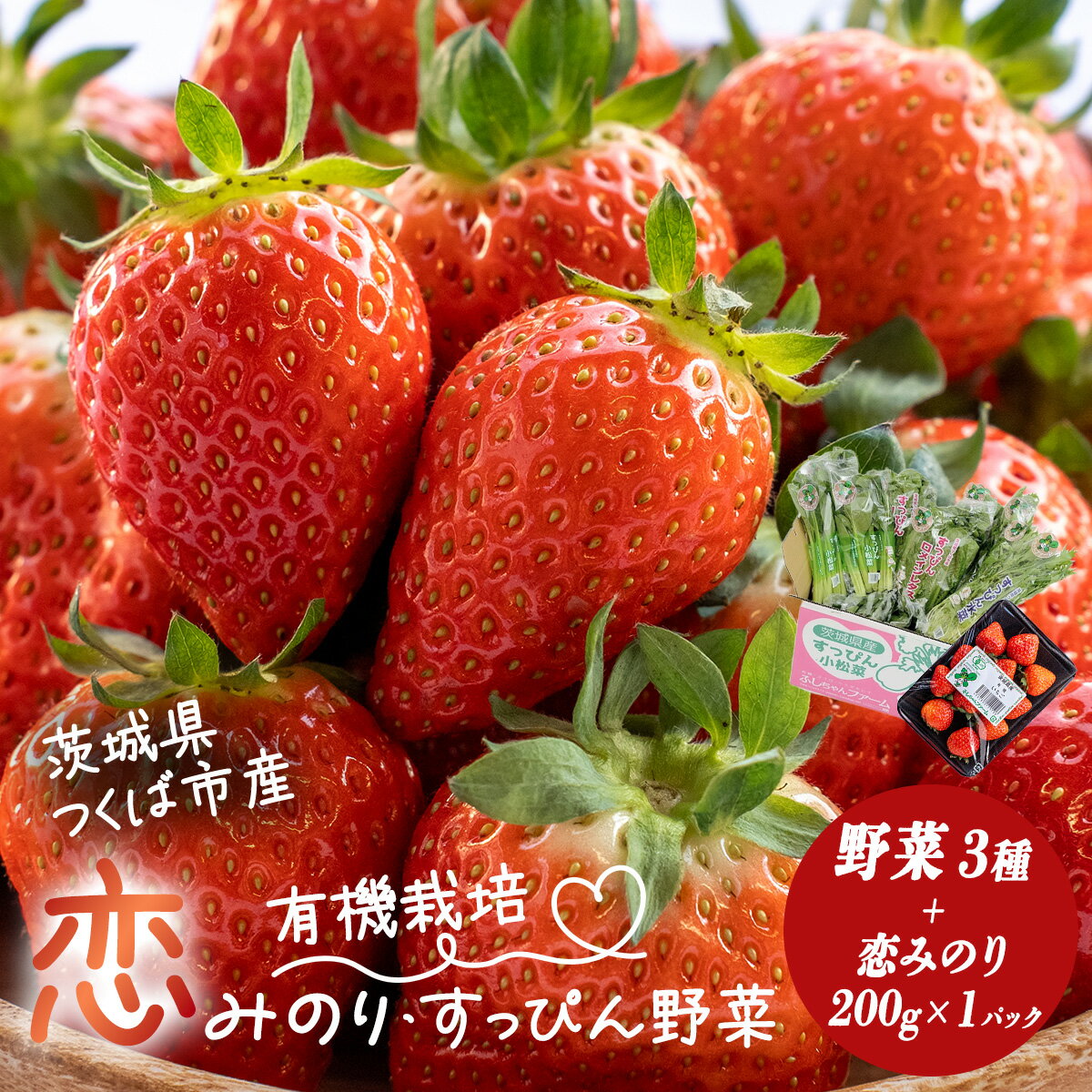 【ふるさと納税】有機いちご200g・野菜セット すっぴん有機いちご | 茨城県 つくば市 いちご 苺 イチゴ 恋みのり 小松菜 ロメインレタス 水菜 鍋 鍋もの 野菜 有機野菜 有機栽培 無農薬 有機農業 オーガニック 自然 果実 フルーツ 果物 希少