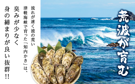 【2025年3月中旬以降発送】海峡育ち 殻付き牡蠣 Sサイズ 80個入り カキナイフ付＜上磯郡漁業協同組合＞ 生牡蠣 かき カキ 貝 海鮮 北海道産牡蠣 カキ 北海道 牡蠣 ふるさと納税牡蠣 牡蠣 産