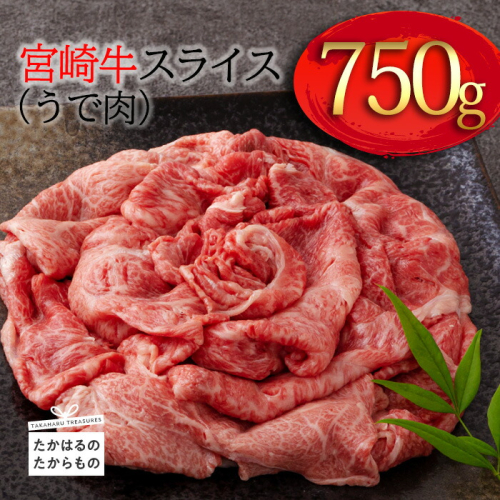 《A5・A4ランク》宮崎牛スライス(うで肉)約750g 内閣総理大臣賞受賞の黒毛和牛 [ブランド牛 牛肉 ワンストップオンライン] TF0571-P00012