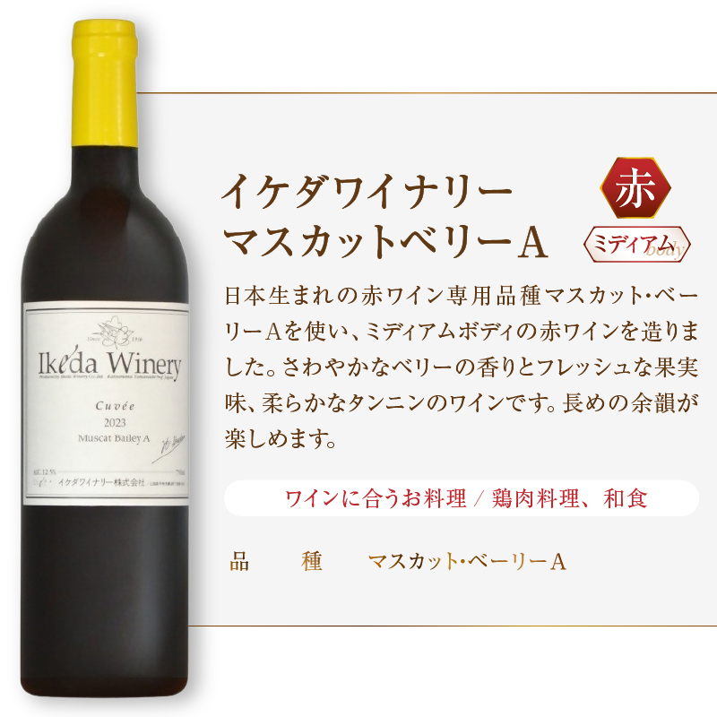 イケダワイナリー【グラン・キュヴェ 甲州／マスカットベリーA】2本セット（MG）B18-675