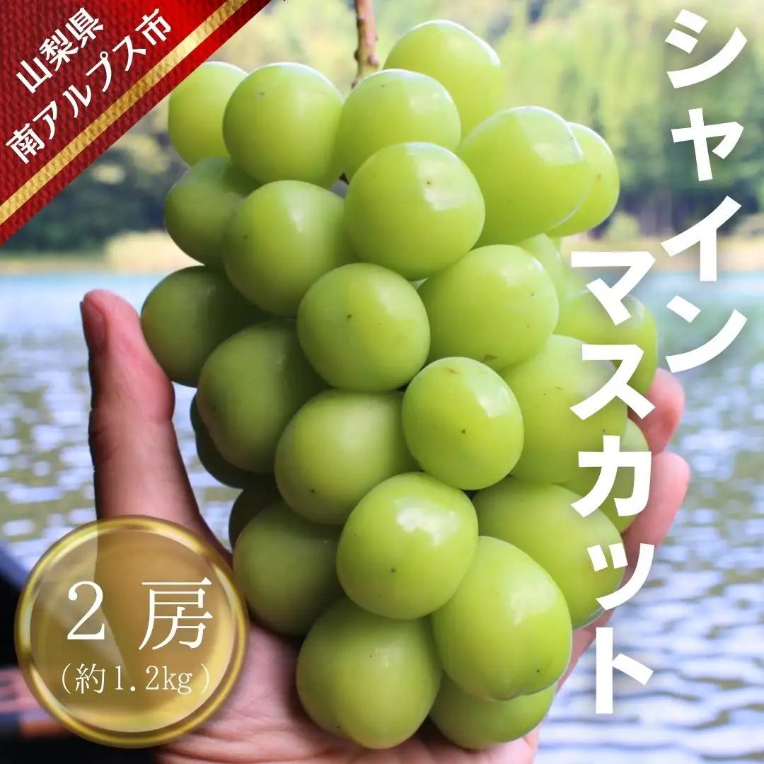 【令和8年発送・先行予約】南アルプス市産シャインマスカット(2房・約1.2kg)真心で育てる大地の宝石！ ALPDX005