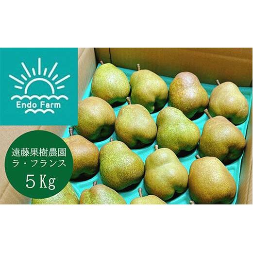 【令和8年産先行予約】 【ネオニコフリー】 〈家庭用〉 ラ・フランス 約5kg (18～20玉 秀 L～2L) 《令和8年11月上旬～発送》 『遠藤果樹農園』 厳選 こだわり ラフランス 西洋梨 洋なし 果物 フルーツ デザート 山形県 南陽市 [1989]