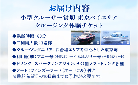 小型クルーザー貸切 東京ベイエリア クルージング体験(3名様 60分)