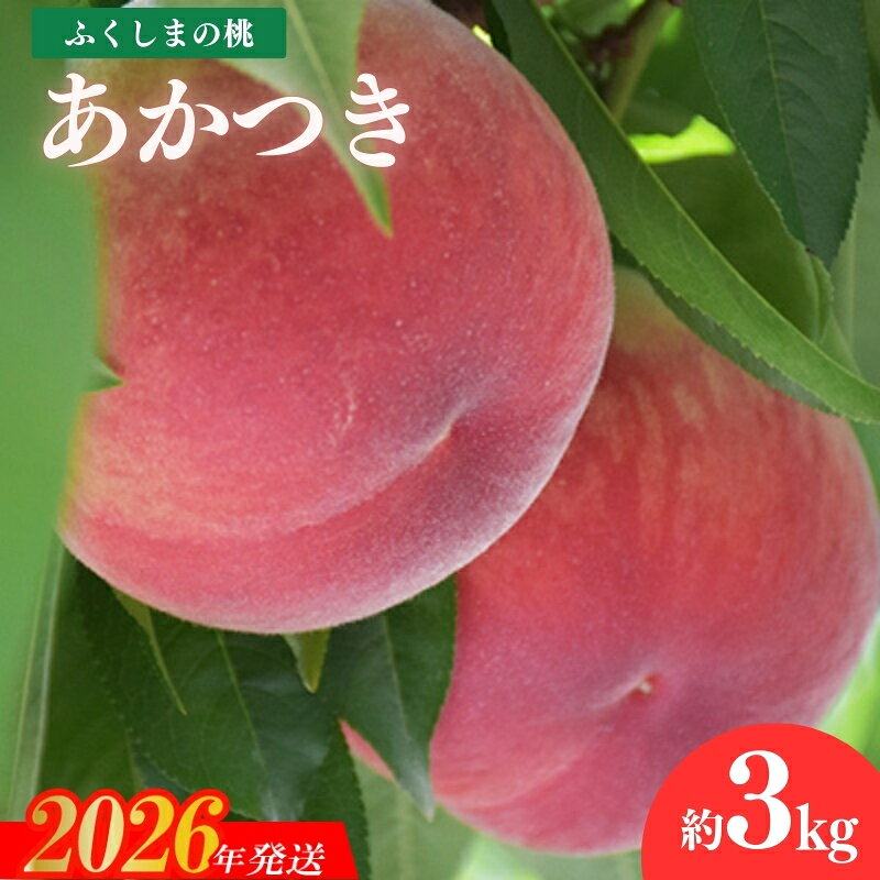 【ふるさと納税】No.1881 すずき果樹園　もも　あかつき 約3kg【2026年発送】