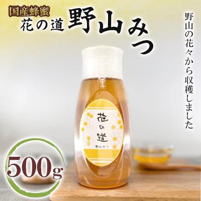 ふるさと納税 広川町 野山みつ　500g(広川町)