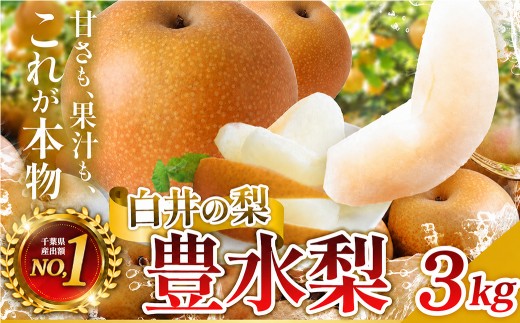 【常温便】豊水　3kg　5～10玉
