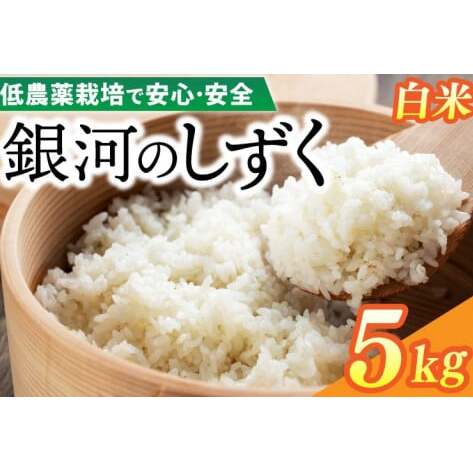 令和7年産 銀河のしずく 5kg (精米) 低農薬栽培米 生産者直送 (EI012)
