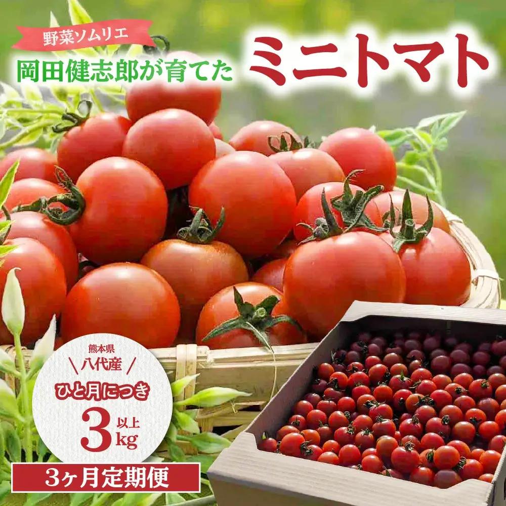 トマト 【先行予約】 【定期便3回】 野菜ソムリエ 岡田健志郎が育てた　ミニトマト 3kg以上 【2026年12月上旬より順次発送】 トマト