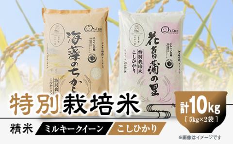特別栽培米10kg(精米/ミルキークイーン・コシヒカリ　各5kg)