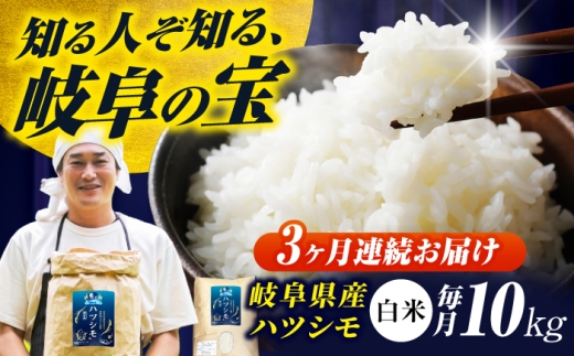 【3回定期便】【令和7年度産】岐阜県産米ハツシモ「藍の燈」10kg ハツシモ はしつも 白米 精米 米 こめ ごはん コメ 10kg 10キロ 定期 定期便 米定期便 岐阜市 / 藍川ファーム [ANHI005]