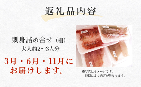 【３回 定期便】 氷見漁港朝どれ！旬の新鮮刺身おまかせセット ２、３人前（３月・６月・１１月）