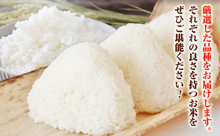 令和7年産 青空市きらりのお米 10kg《30日以内に発送予定》