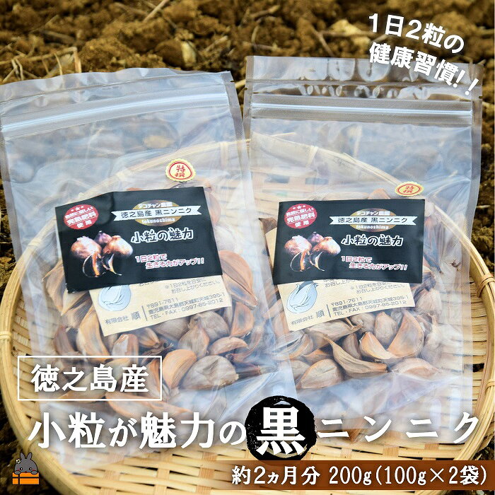 【ふるさと納税】～こだわりの小粒が魅力！～徳之島産黒ニンニク200g（100g×2袋） ( にんにく 健康食品 黒にんにく 自家栽培 徳之島 奄美 世界自然遺産 野菜 こだわり 完熟肥料 安心 安全 長寿 デコチャン農園 甘み フルーツのような美味しさ レターパック配送 ポストイン )