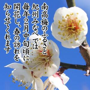 紀州産南高梅 みつふる12粒入り 減塩1.5% A-076a