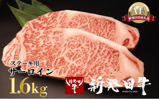 サーロイン ステーキ 牛肉 1.6kg にいがた和牛 和牛 新発田牛 赤身 焼肉 ふるさと納税 和牛 BBQ キャンプ 特選 贅沢 厳選和牛 ブランド牛 ギフト 贈答 お歳暮  新潟 新潟県 新潟産 新発田 新発田市 新発田産 アルビレックス アルビレックス新潟 えのもとミート