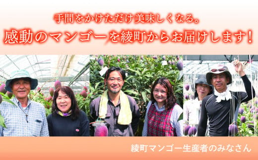 【先行予約/数量限定】完熟マンゴー ３L×２玉（化粧箱）宮崎 高級 果物 フルーツ 濃厚 ギフト のし 贈答 先行受付 送料無料【JA綾町】_A0114-235