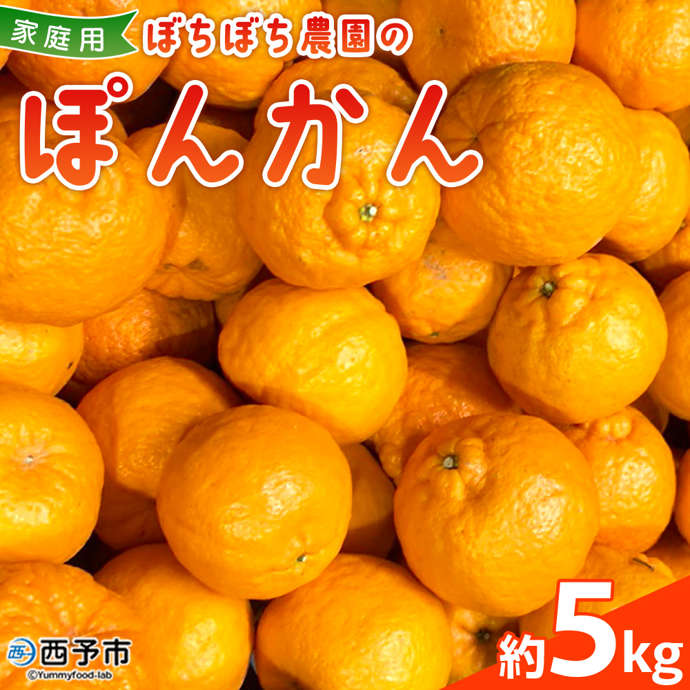 ＜ぼちぼち農園のぽんかん 家庭用 約5kg＞ 5キロ ぽんかん ポンカン 訳あり わけあり ワケアリ 果物 みかん ミカン 柑橘 フルーツ 生産量日本一 国産 特産品 愛媛県 西予市