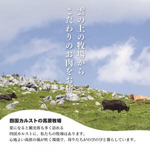 四国カルスト高原で育った土佐あかうし すき焼き用 500g　牛肉 和牛 赤毛 高知県産