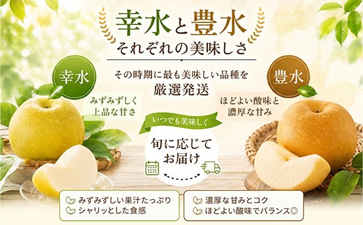 佐賀県唐津市から、毎年多くの方に愛されている
ロングセラー品種「幸水」または「豊水」をお届けします。