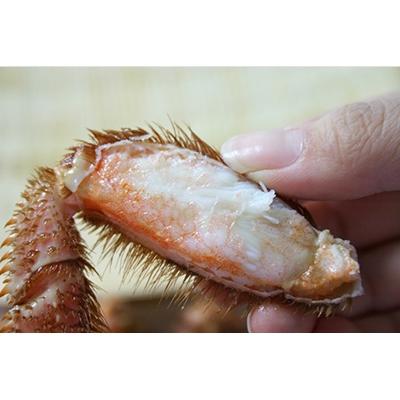 ふるさと納税 森町 【北海道産】 浜ゆで毛ガニ×1尾 |  | 02