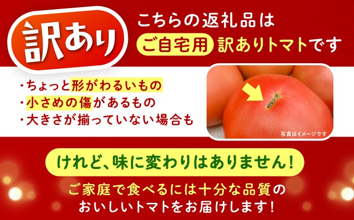訳あり トマト とまと 大玉トマト ミニトマト 詰め合わせ お取り寄せ 産地直送 とまと トマト 野菜 やさい