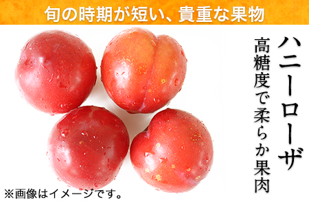 抜群の糖度と爽やかな酸味♪ハニーローザアイスクリーム＆ハニーローザシャーベット 120ml×各4個 《60日以内に出荷予定(土日祝除く)》熊本県玉名郡玉東町 すもも ハニーローザ アイス ぷらっとぎょ