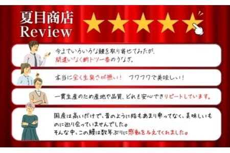 豊橋うなぎ 白焼きざみ 1kg 夏目商店 うなぎ