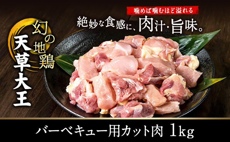 天草大王 バーベキュー用カット肉 1kg 《60日以内に出荷予定(土日祝除く)》 熊本県産 【幻の地鶏】長洲町 もも肉 むね肉