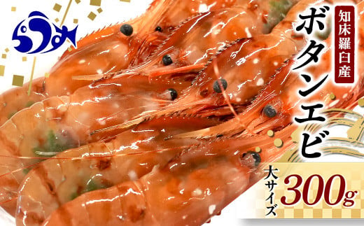 
北海道産 知床羅臼産ボタンエビ 大サイズ300g ぼたんえび ぼたん海老 魚介類 北海道 魚介 海産物 冷凍 刺身 海鮮丼 生産者 支援 応援 クラウドファンディング 実施中 GCF F21M-652
