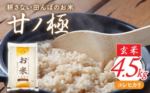 ＼先行予約／【令和8年産】玄米「廿ノ極」（4.5kg）コシヒカリ 米 お米  多治見市/廿原ええのお  [TCI001]
