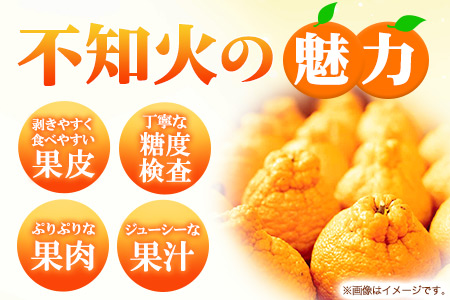 不知火 約 4.5kg～ 5kg みかん《2027年2月下旬-4月下旬頃出荷》熊本県産(荒尾市産含む) 柑橘 フルーツ フレッシュフーズ 不知火 果物 デコポン と同品種 送料無料 果物 シラヌヒ シ
