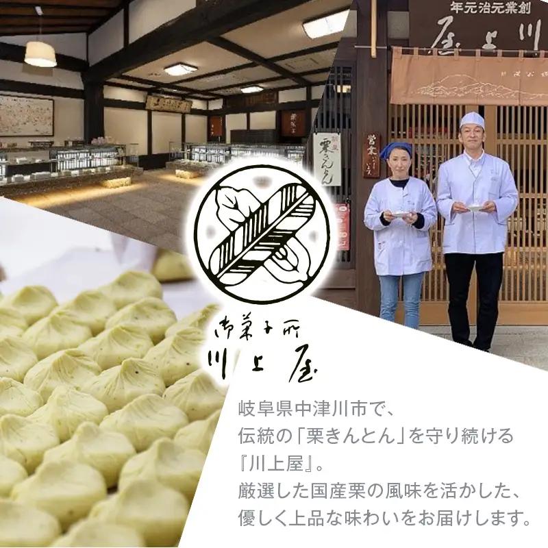 【2027年1月お届け】 御菓子所 川上屋 柿の美きんとん 10個入り F4N-1901