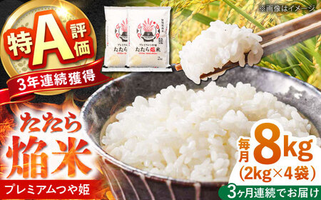 【3回定期便】白米 プレミアムつや姫 8kg 島根県 雲南市 定期便 精米 ブランド米 [AIBR007]  