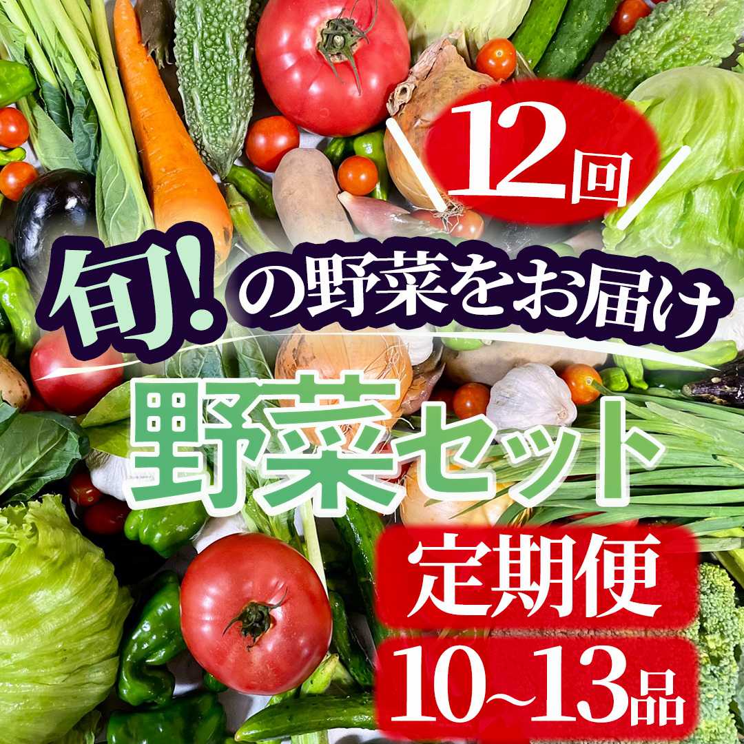 湯の花　旬の野菜セット1年間の定期便　【野菜 12ヵ月 定期便 セット 人気 詰め合わせ  おまかせ 新鮮 やさい】