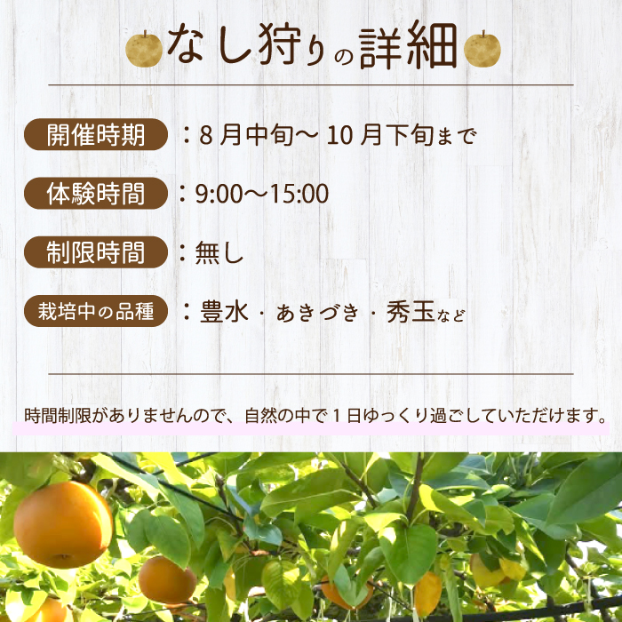 【白龍湖観光農園】梨狩り体験チケットおとな2名 果物 くだもの フルーツ 202004