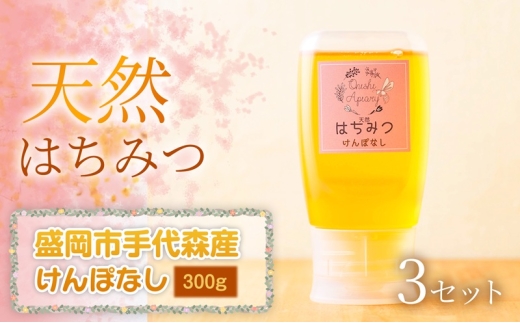 けんぽなし 蜂蜜 300g×3セット 国産 はちみつ 天然 無添加 無加工 盛岡市手代森産 季節の蜂蜜 希少 濃厚 上品な香り スイーツ ご褒美 美容 美肌 ギフト プレゼント 贈答用 岩手県 盛岡市 東北 岩手 盛岡 大西養蜂場