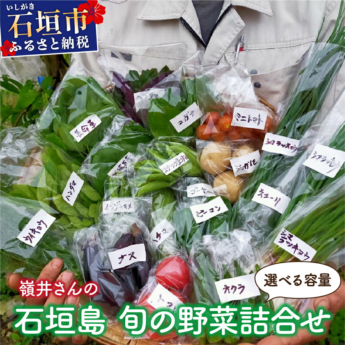【ふるさと納税】＜選べる容量＞嶺井さんの石垣島旬の野菜詰合せ（標準セット／大セット）｜沖縄県 石垣市 ふるさと納税 野菜 トマト ジャガイモ ピーマン きゅうり OI-22-23