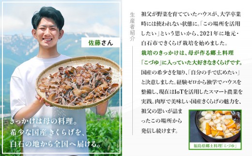 《国産》【木華（もっか）】 生きくらげ300g(100g×3パック)&乾燥きくらげセット(黒)60g（20g×3袋）