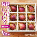 【ふるさと納税】あかね農園【特級いちじく】9個 桐箱入り　 果物 フルーツ イチジク 無花果 産地直送 手土産 ギフト 　お届け：2024年8月中旬～2024年9月中旬
