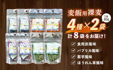 【風味付した裸麦】 麦飯用バーリースター 60g×8個 / 麦 むぎ はだか麦 雑穀 雑穀米 麦ごはん 食物繊維 長崎県産 / 諫早市 / 有限会社伊東精麦所[AHBU004]