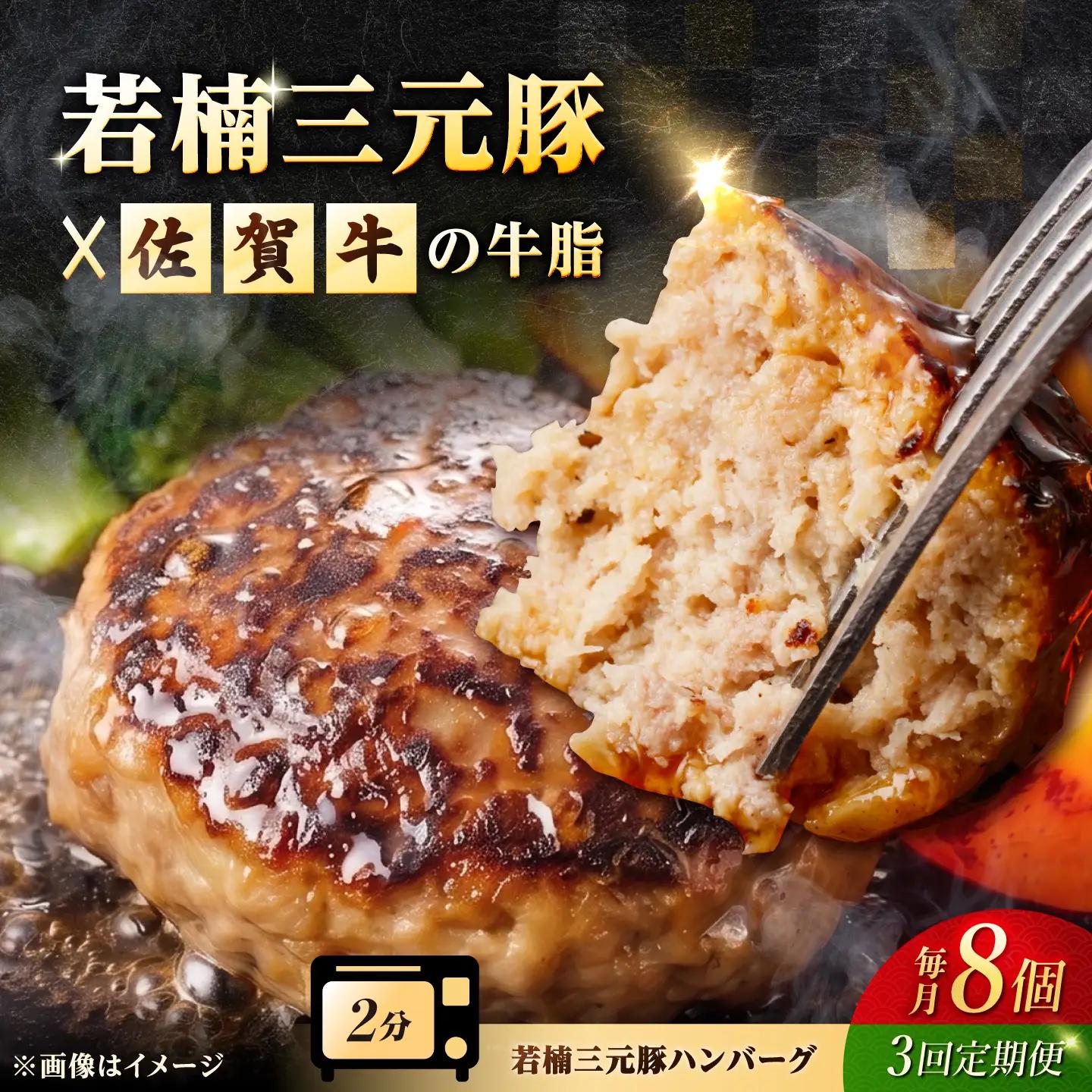 【3回定期便】 若楠三元豚ハンバーグ 120g×8個 豚ハンバーグ [UBH056]