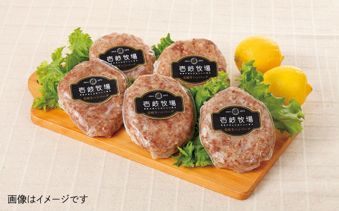 【全6回定期便】壱岐牛 ゴールドハンバーグ 150g×6個≪壱岐市≫【壱岐牧場】ハンバーグ 牛 牛肉 和牛 100% 小分け 冷凍配送 ギフト 贈答 プレゼント 102000 102000円 [JBV